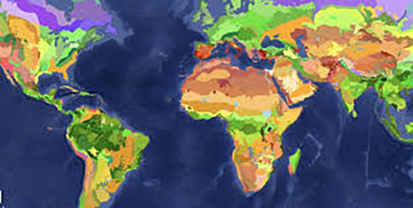 map of biomes