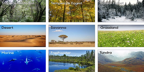 map of biomes